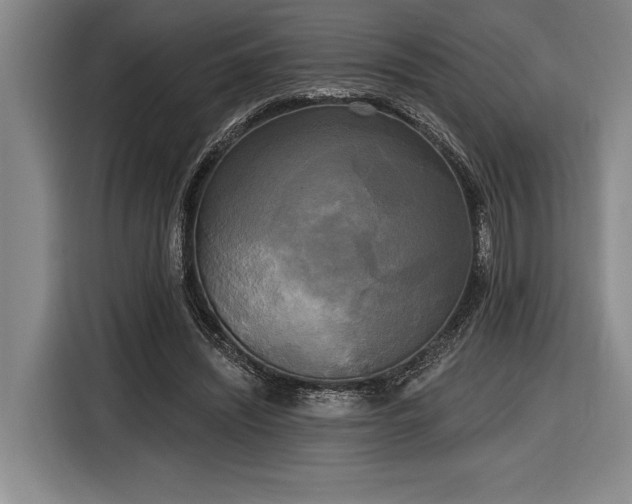 X0000116850444200912221122