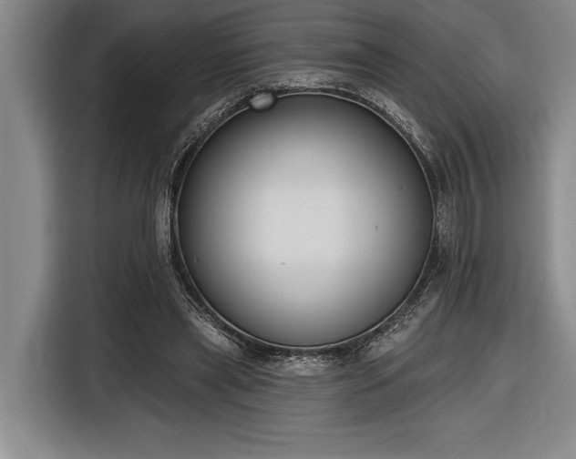 X0000116850445200912221122