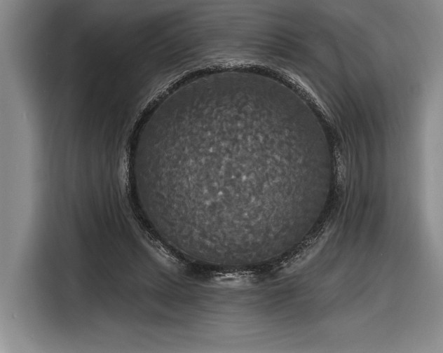 X0000116850447200912221122