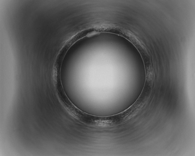 X0000116850448200912221122