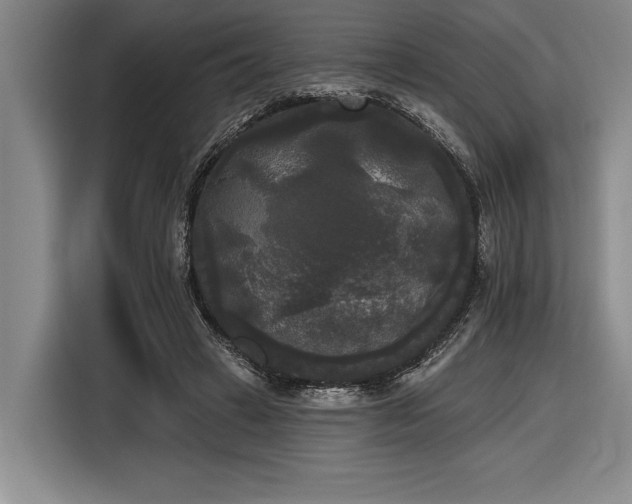 X0000116850449200912221122