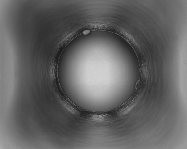 X0000116850450200912221122
