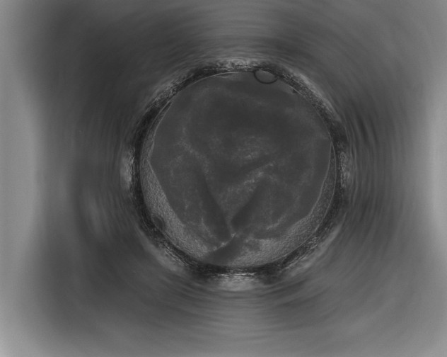 X0000116850451200912221122