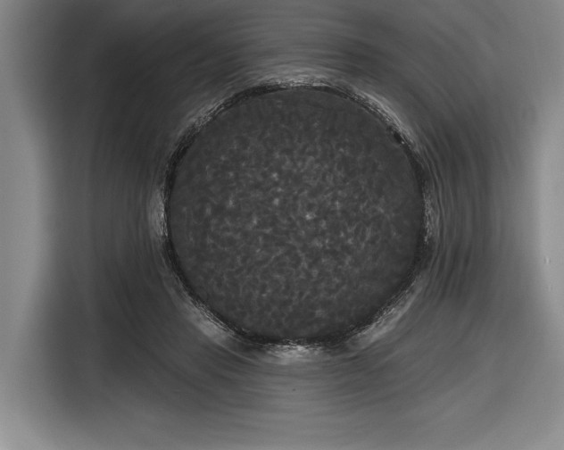 X0000116850453200912221122