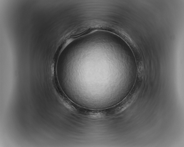 X0000116850454200912221122