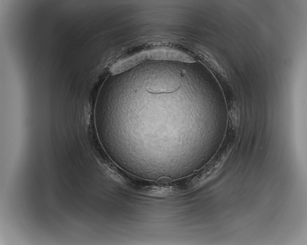 X0000116850458200912221122