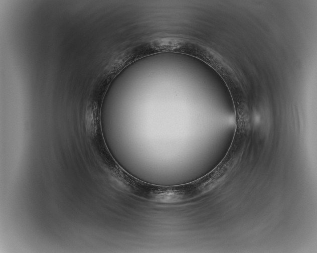 X0000116850460200912221122