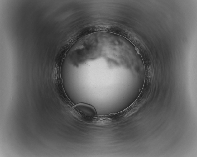 X0000116850463200912221122