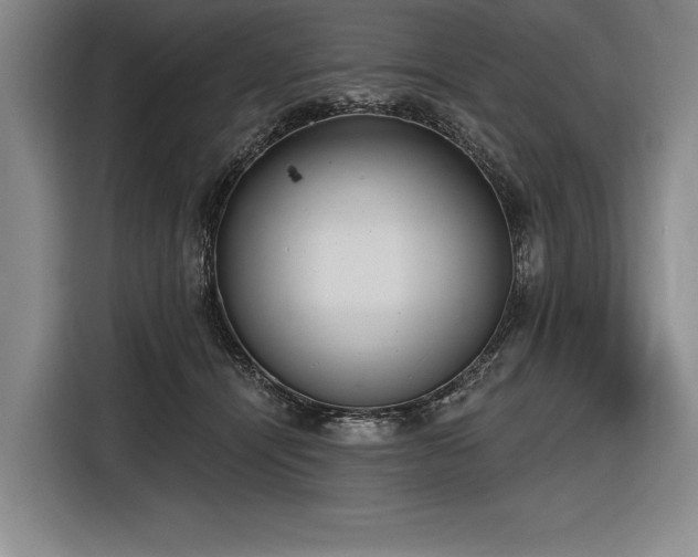 X0000116850464200912221122