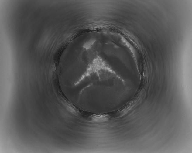 X0000116850465200912221122
