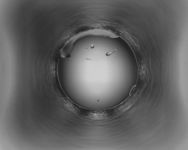X0000116850466200912221122