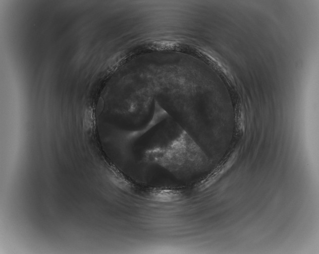 X0000116850467200912221122