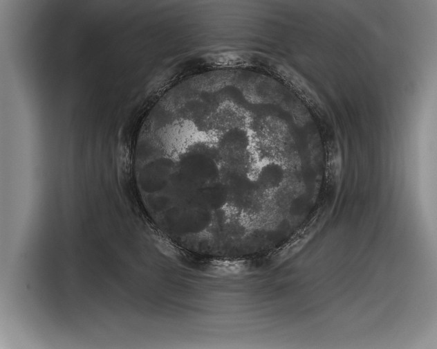 X0000116850469200912221122