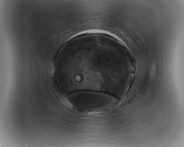 X0000116850471200912221122