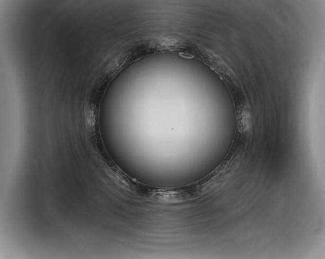 X0000116850472200912221122