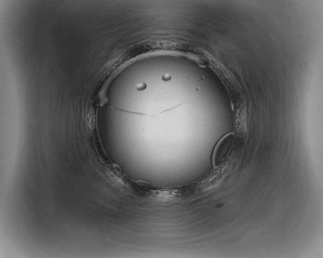 X0000116850474200912221122