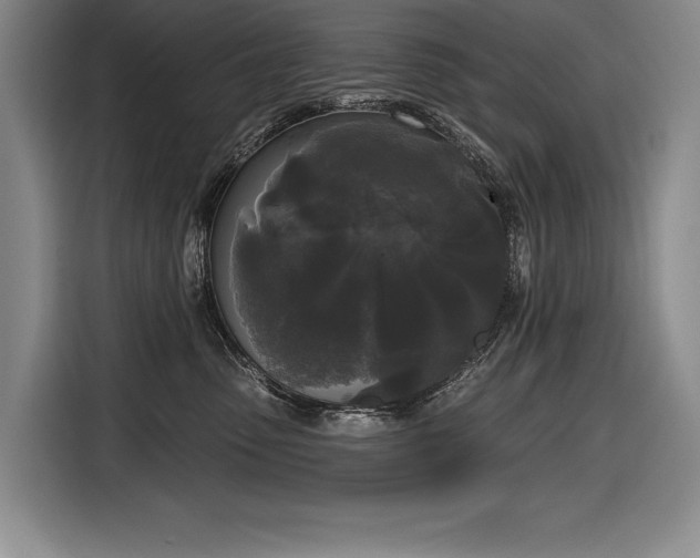 X0000116850475200912221122