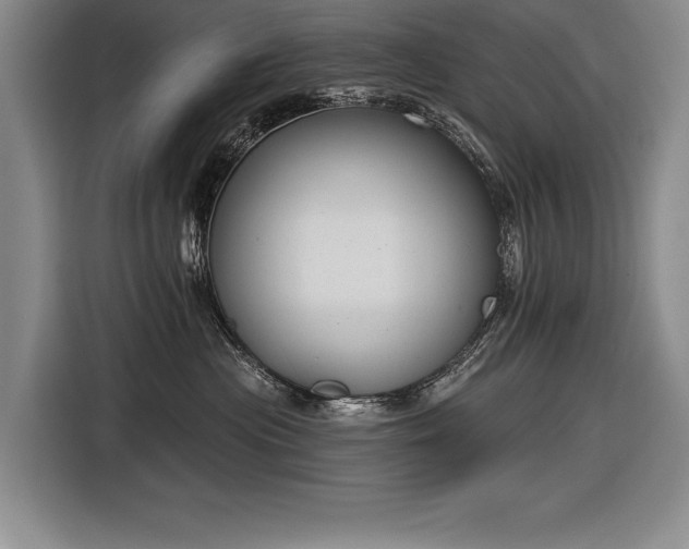 X0000116850477200912221122