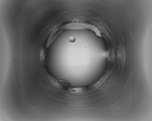 X0000116850478200912221122