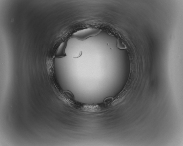 X0000116850480200912221122