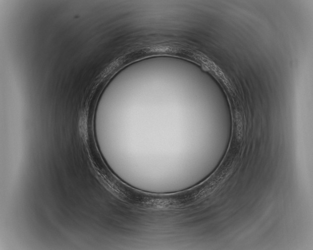 X0000116850482200912221122