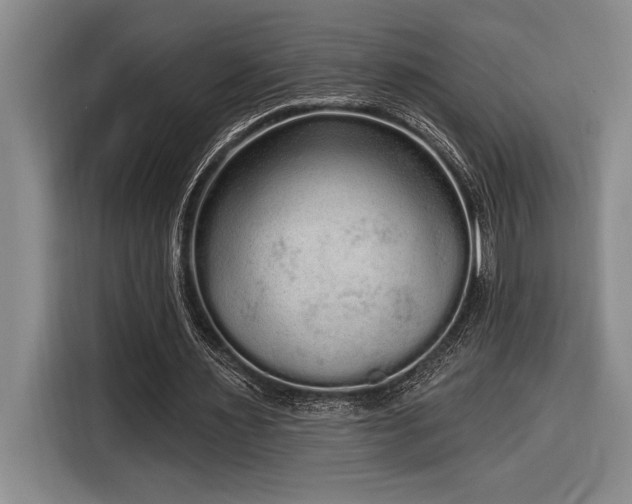 X0000116850483200912221122