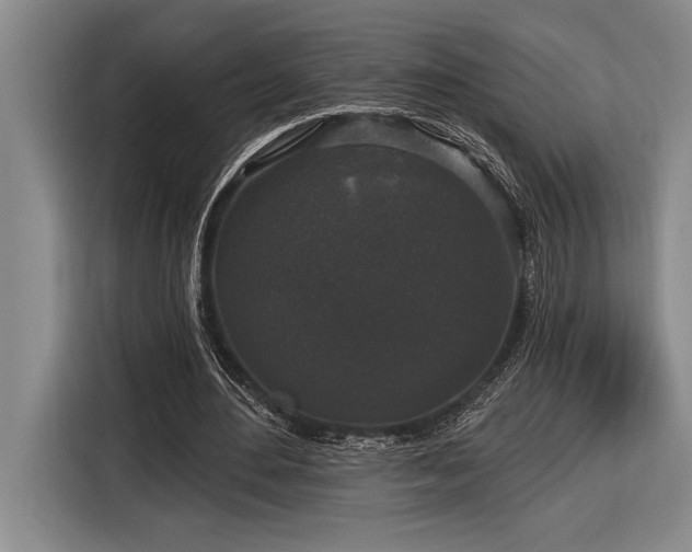 X0000116850484200912221122