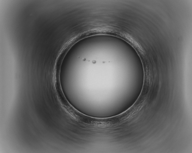 X0000116850486200912221122