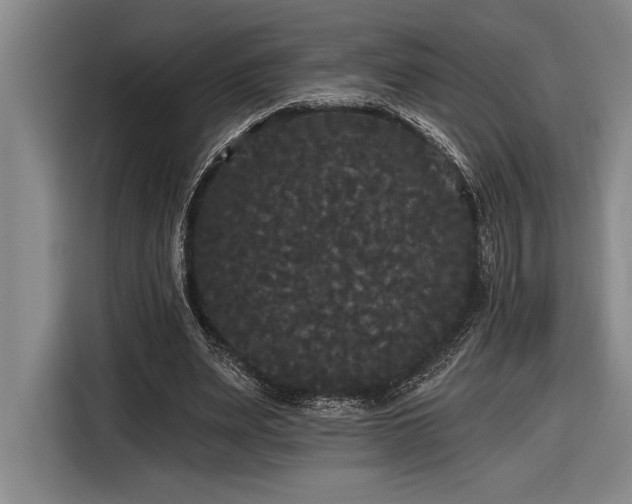 X0000116850487200912221122