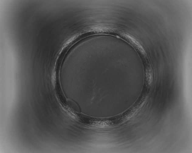 X0000116850488200912221122