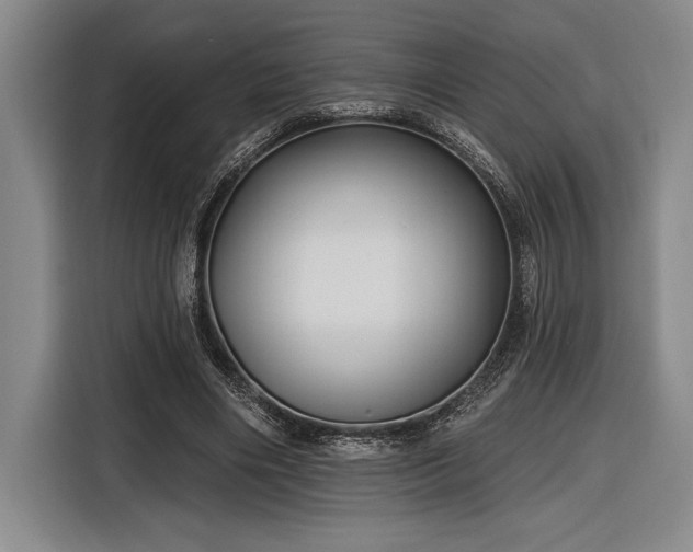 X0000116850490200912221122