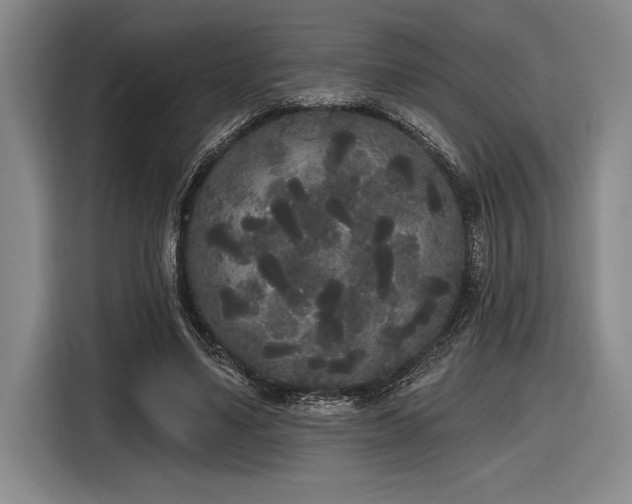 X0000116850491200912221122