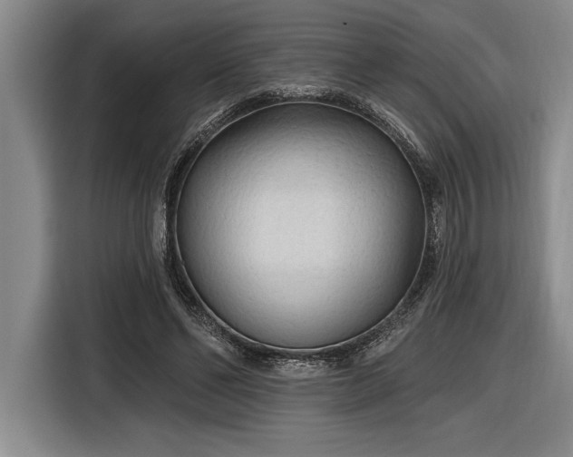 X0000116850494200912221121