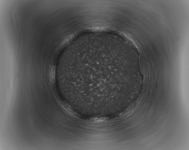 X0000116850495200912221121