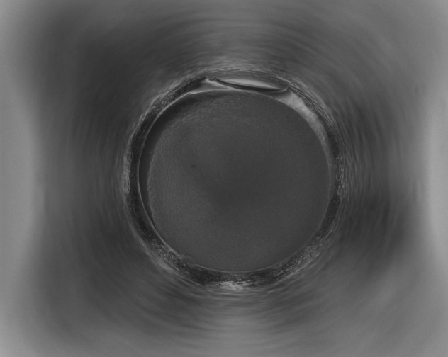 X0000116850496200912221121