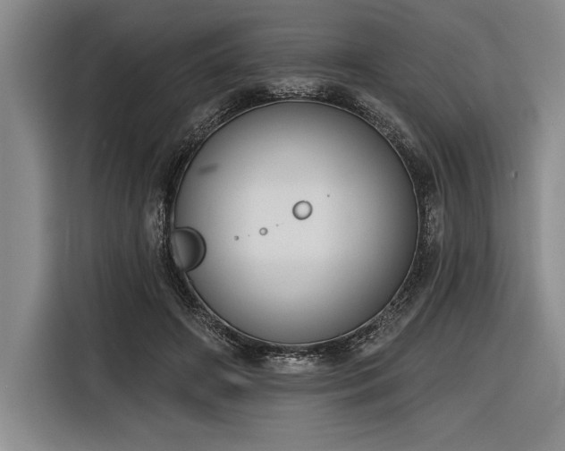 X0000116850498200912221121