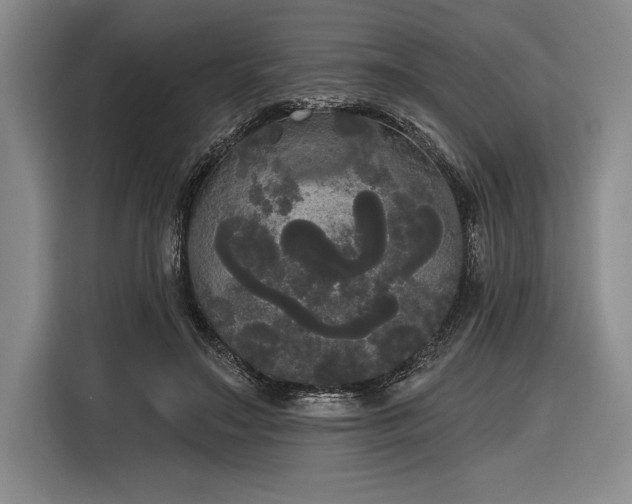 X0000116850499200912221121