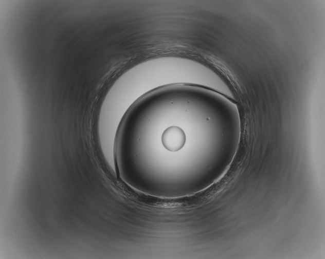 X0000116850501200912221121