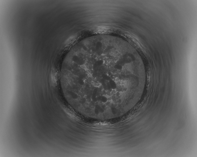 X0000116850503200912221121