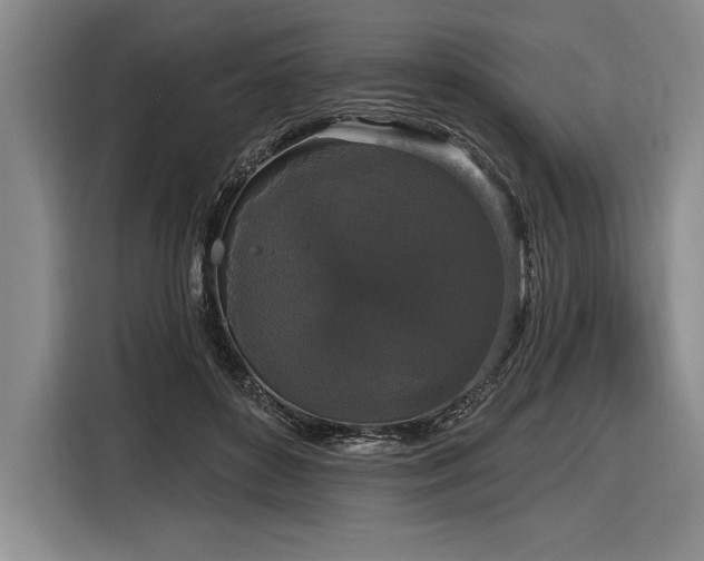 X0000116850504200912221121
