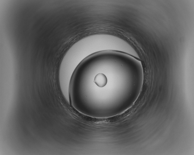 X0000116850505200912221121
