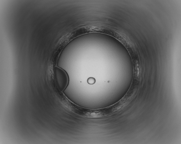 X0000116850506200912221121