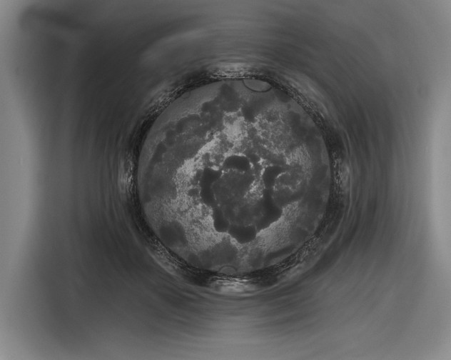 X0000116850507200912221121