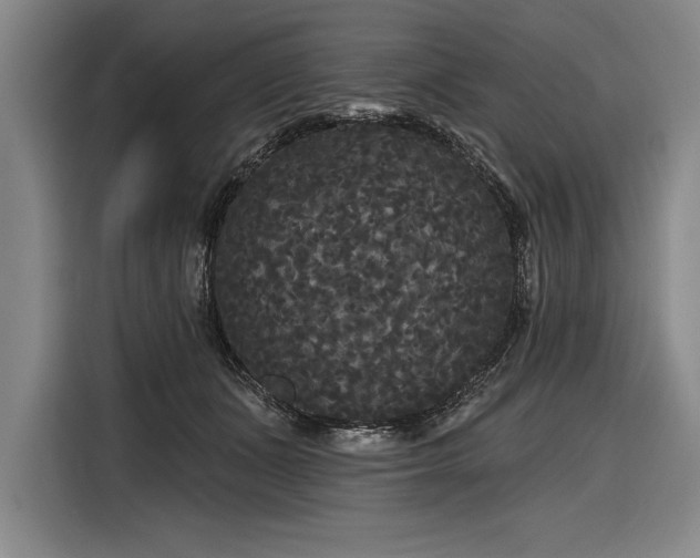 X0000116850511200912221121