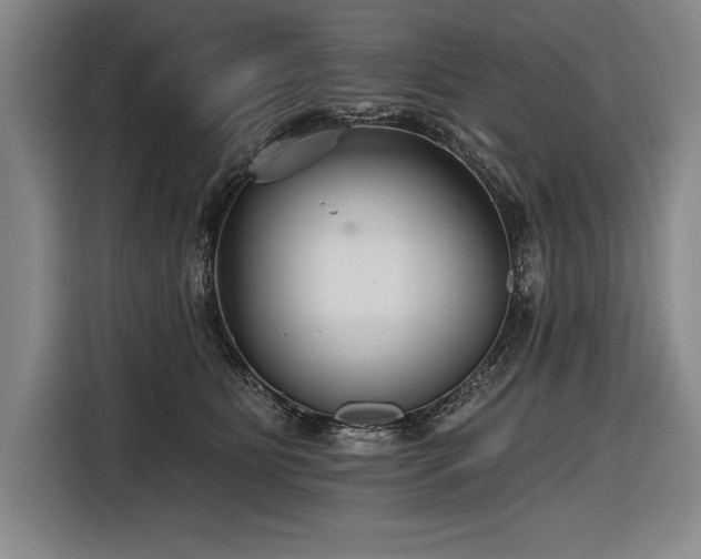 X0000116850515200912221121