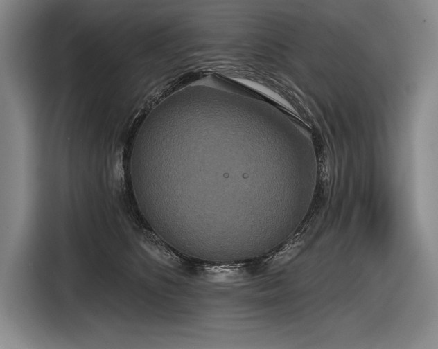 X0000116850516200912221121