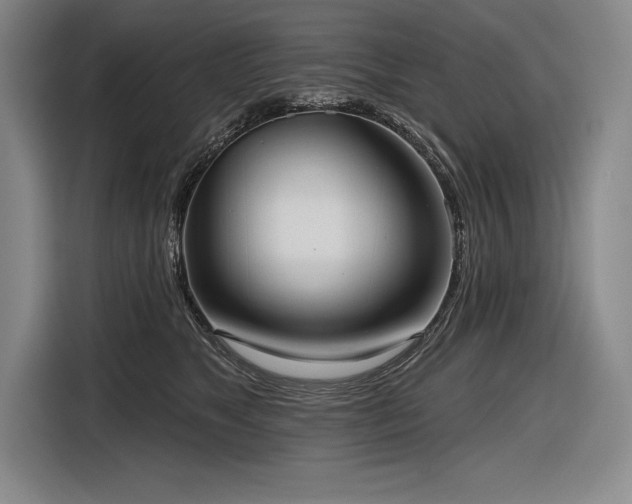 X0000116850517200912221121