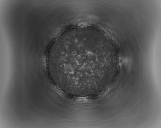 X0000116850519200912221121
