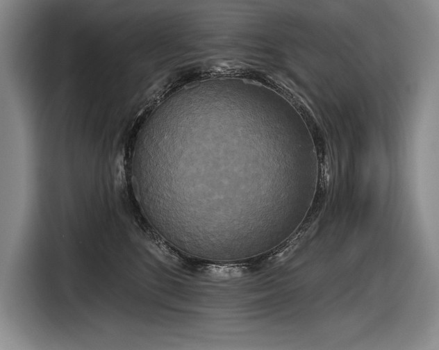 X0000116850520200912221121