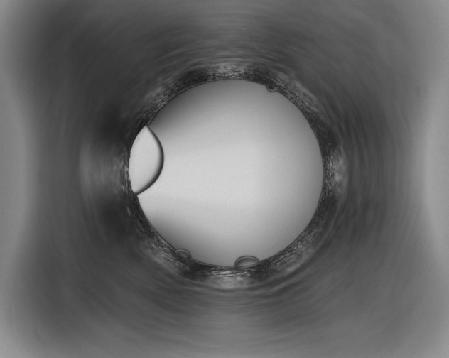 X0000116850522200912221121
